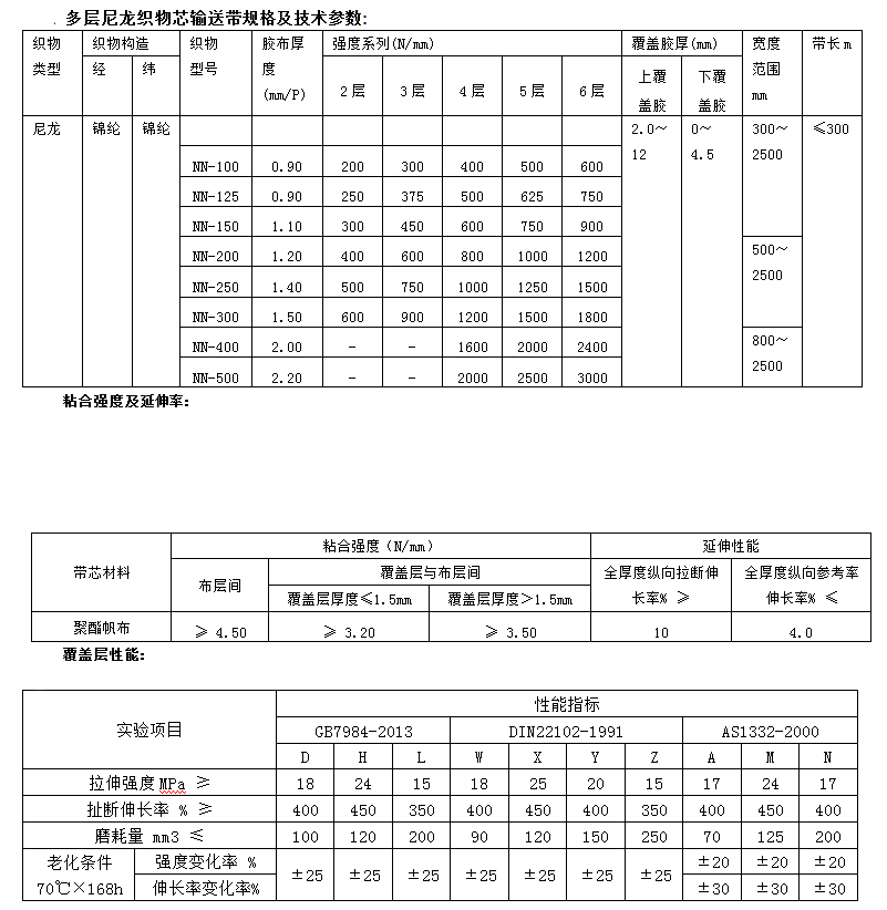 尼龍輸送帶